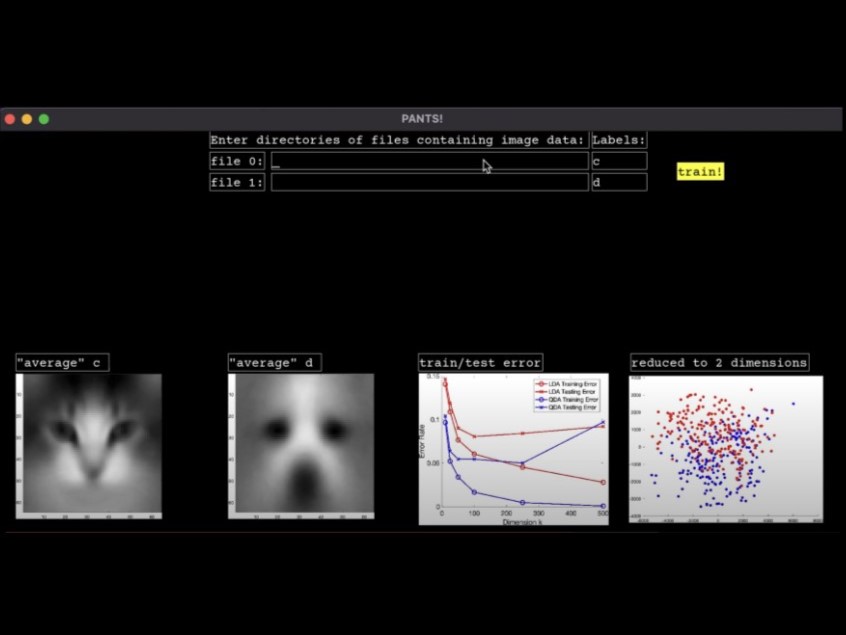 A UI for Visualizing Average Image Data