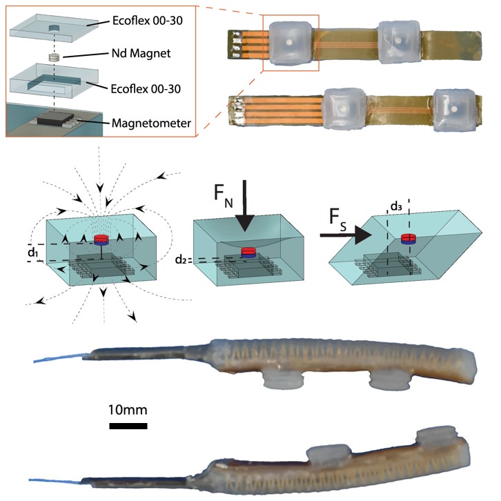 Photo of the Soft Force Sensors